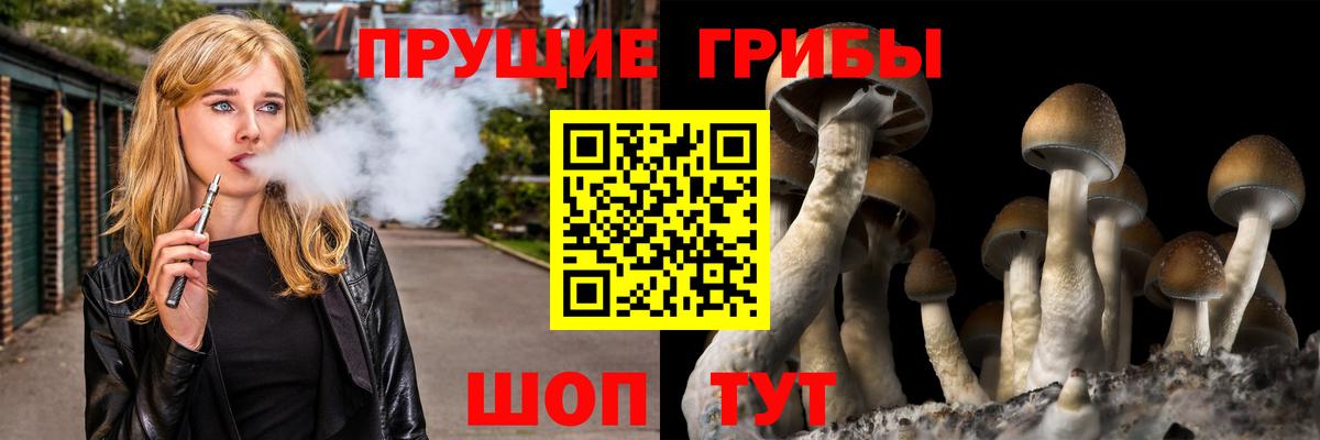 Псилоцибиновые грибы ЛСД Прокопьевск