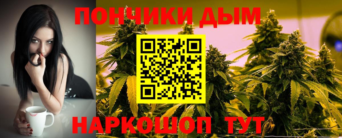 Бошки Шишки конопля Прокопьевск